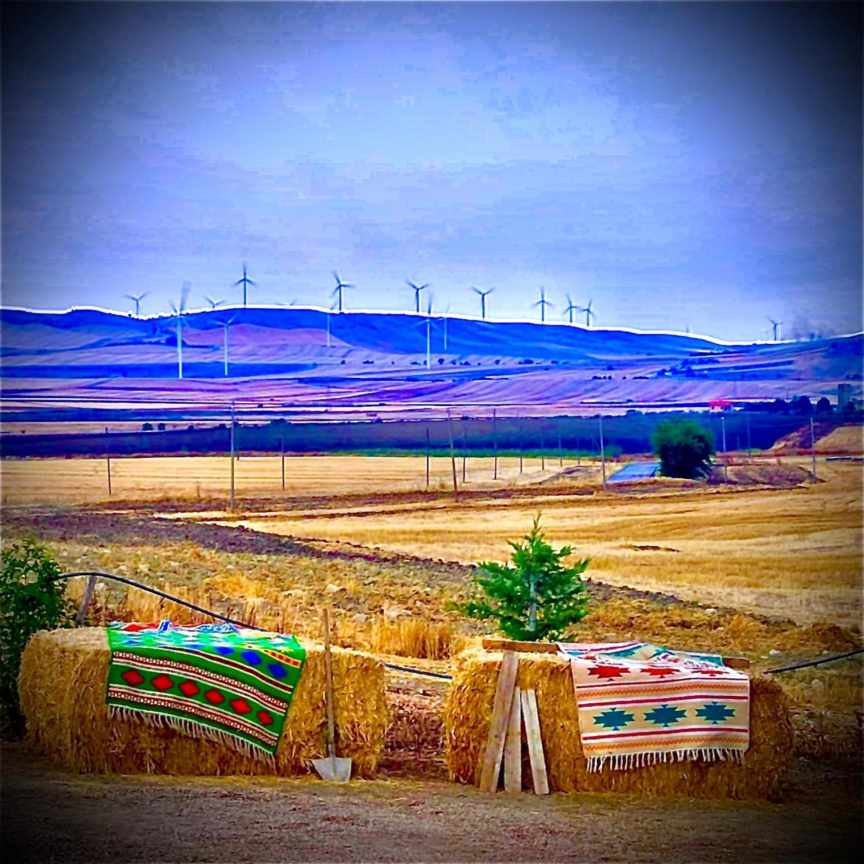 Antica Masseria Il Casone Candela Esterno foto
